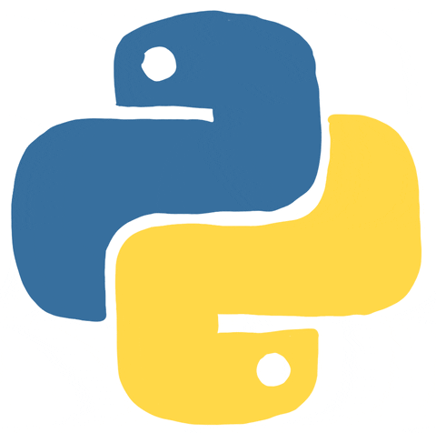 Python Programming Course at VTechLabs